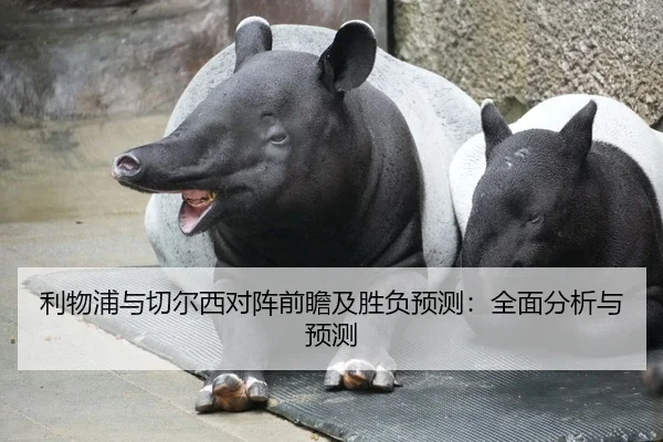 利物浦与切尔西对阵前瞻及胜负预测：全面分析与预测